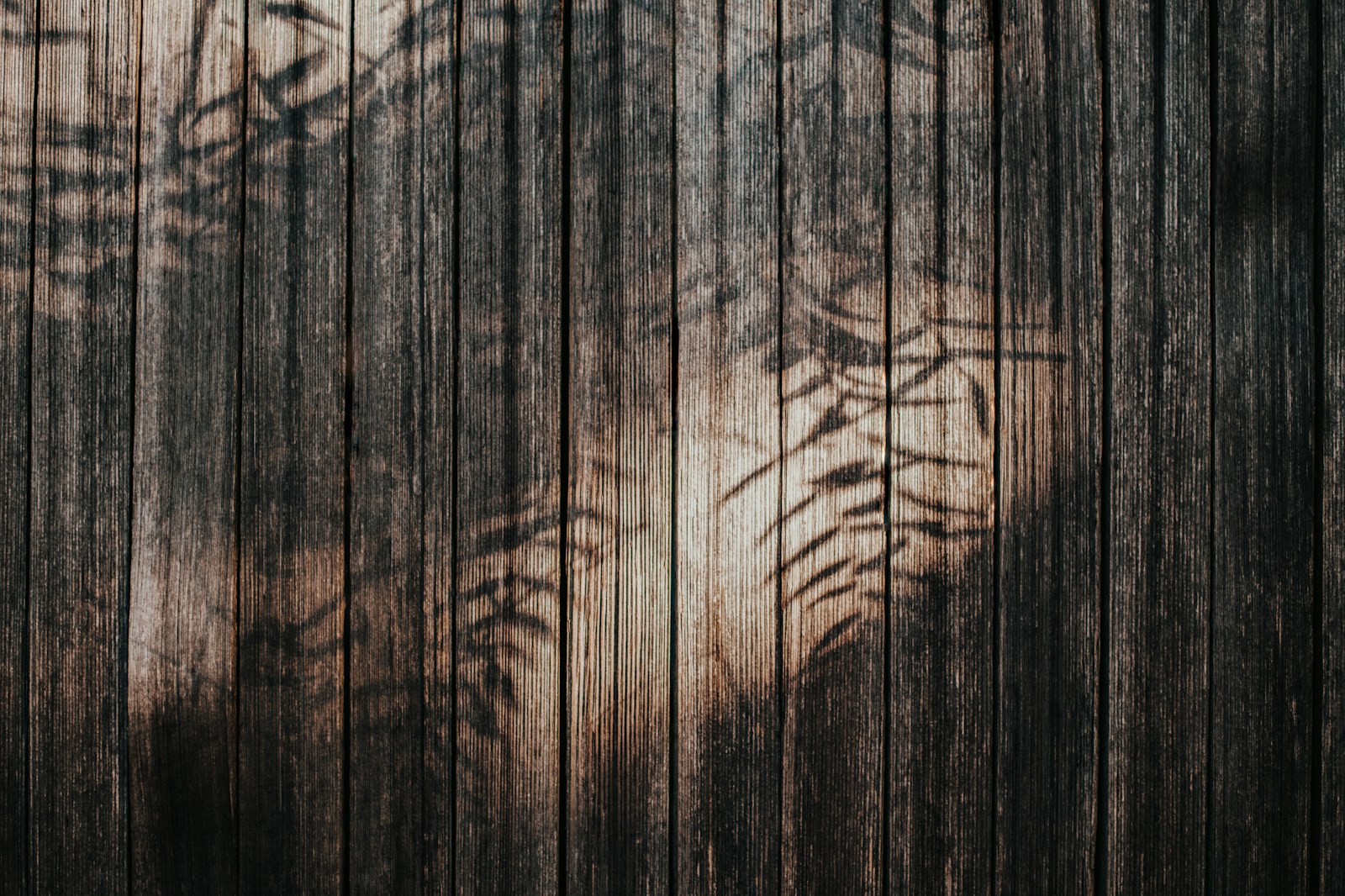 wooden fence with leaf shadows on